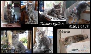 Disneykullen